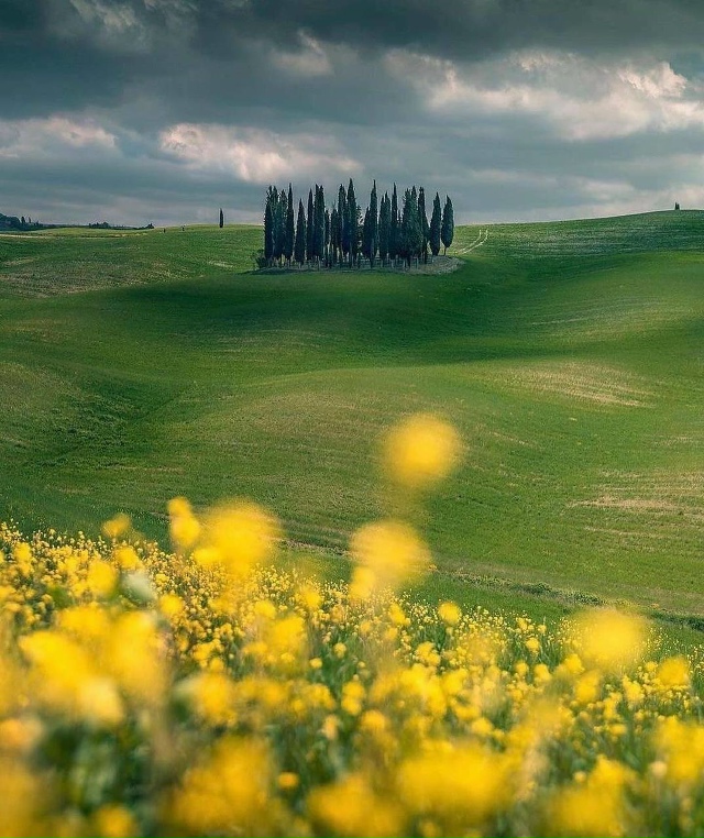 🇮🇹 Бесконечные зеленые холмы Тосканы, Италия
