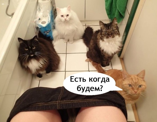 Когда ты сильный и не зависимый