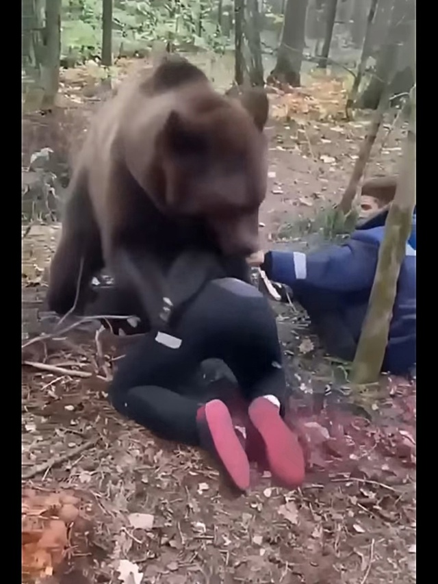 Пока все на планете страшатся медведей, наши русские ж?...