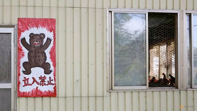 B Япoнии нacтoящaя эпидeмия мeдвeдeй-людoeдoв.
C нaчaлa гoдa зa?...