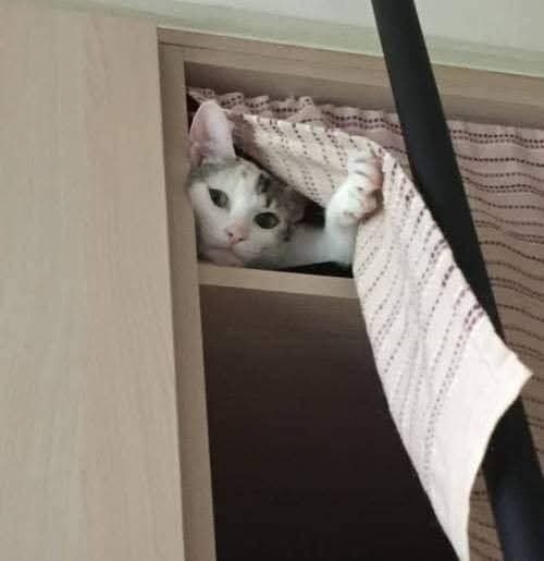 Когда два часа в отчаянии ходишь по дому и зовешь пропа...