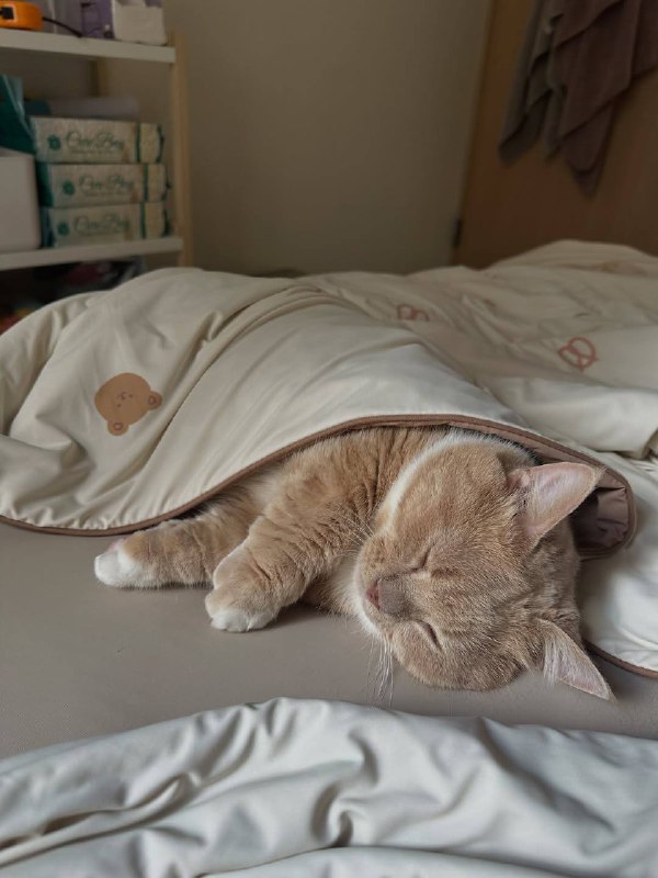 Ложимся споть :3