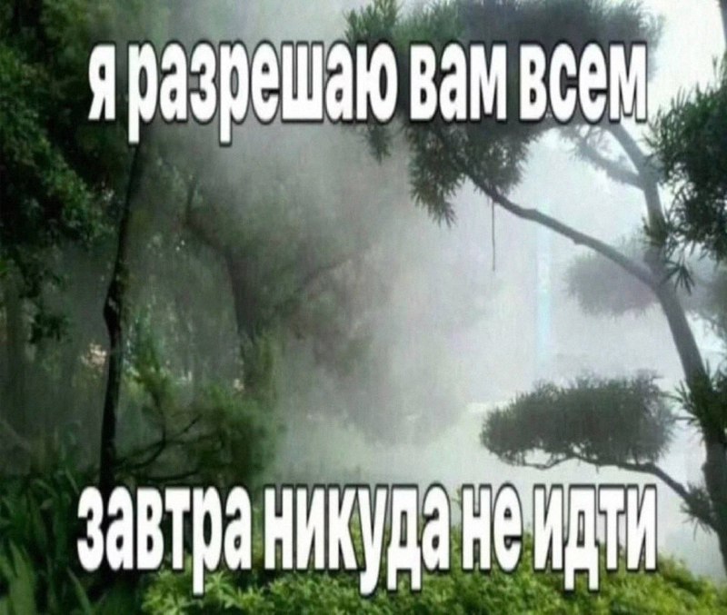 Утренняя подборочка