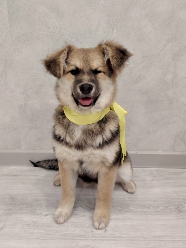 Самая плюшевая бусинка ищет своего человека! ❤️
Этот...