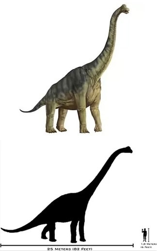 4 июля 1900 года палеонтолог полевого музея Эльмер Риггс ...