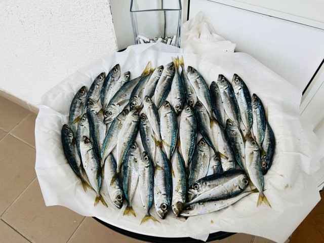 Кто знает, почему народ, живя у моря, чаще покупает замо...