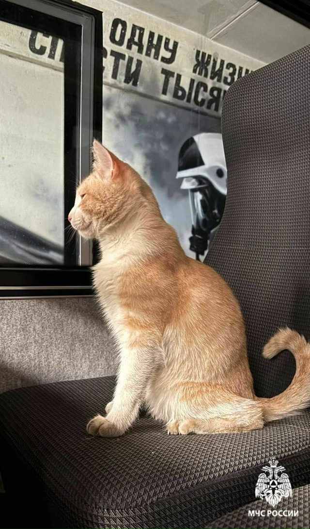 😍Новый сотрудник в МЧС Башкортостан.
Три недели наза...