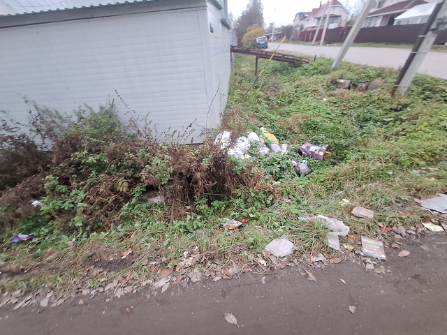 1я линия/Лесной переулок