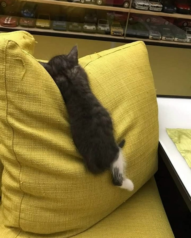 Где устал, там и упал😂