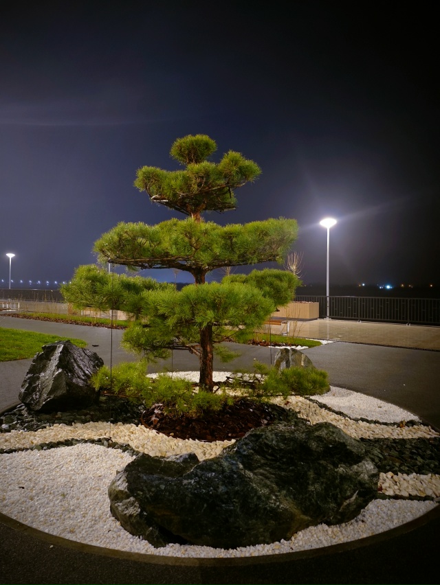 Набережная Перми с ландшафтом в японском стиле.