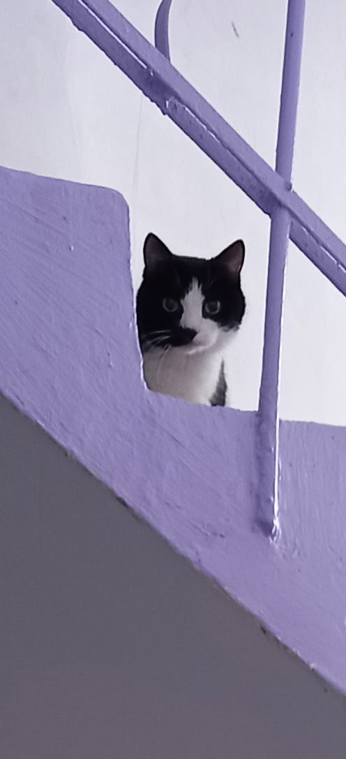 Я тоже красавец😼