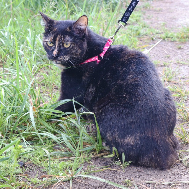 Очаровательная Мия очень ждет встречи со своей семьей?...