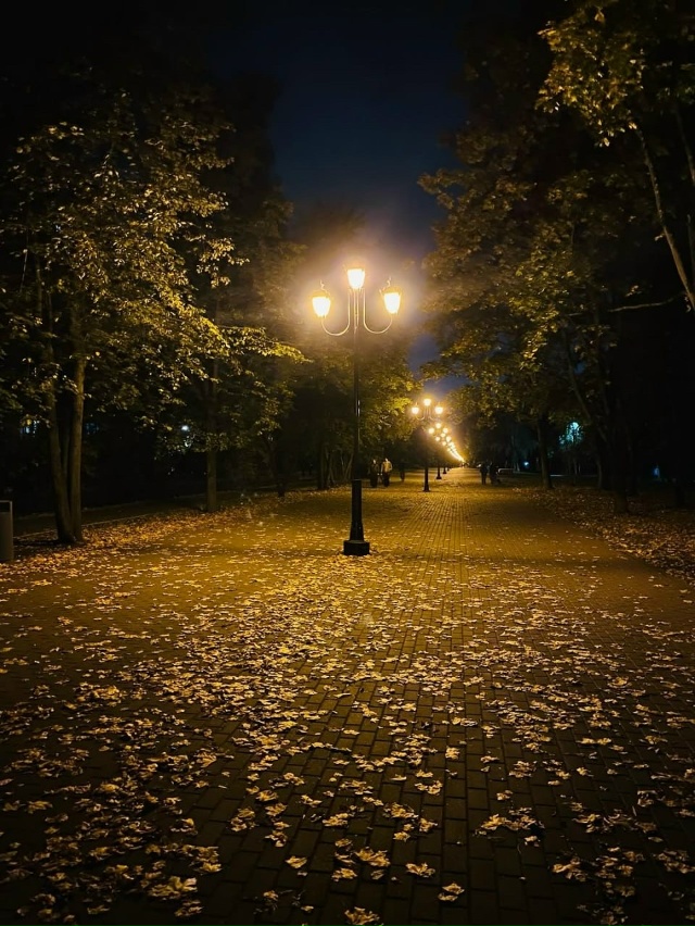 🍃 Прекрасный вечер в Балашихе