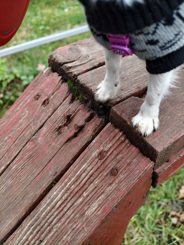 Прошу обратить внимание Администрацию Тульской облас?...