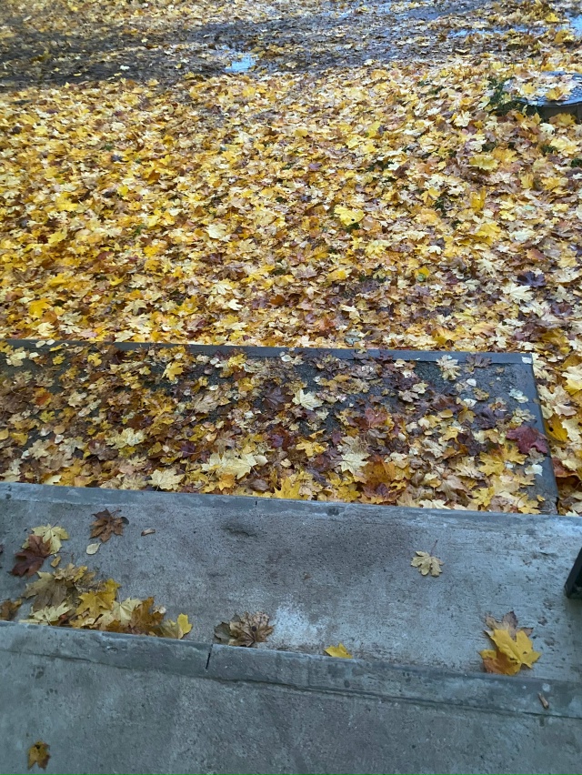 Комсомольская 4,когда будет порядок?дворника нет уже н?...