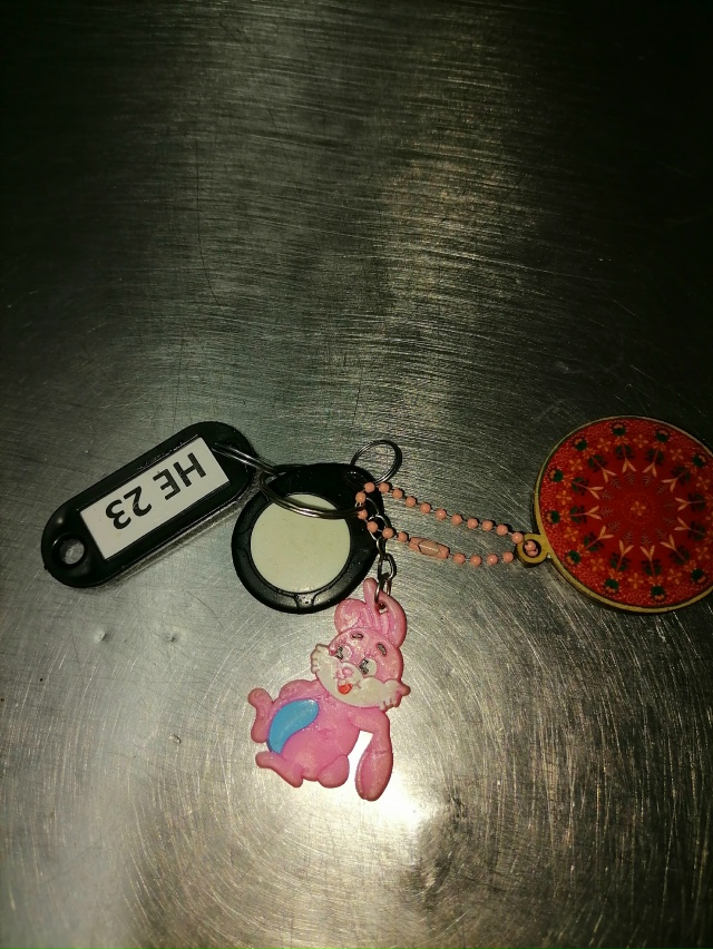 Найдены ключи... Обращаться в 