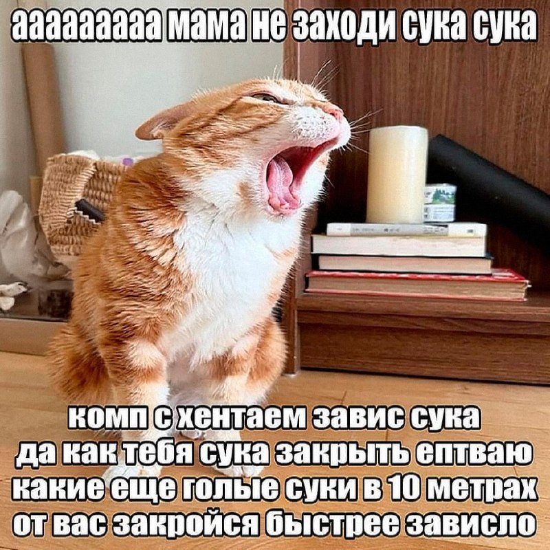 Утренняя подборочка