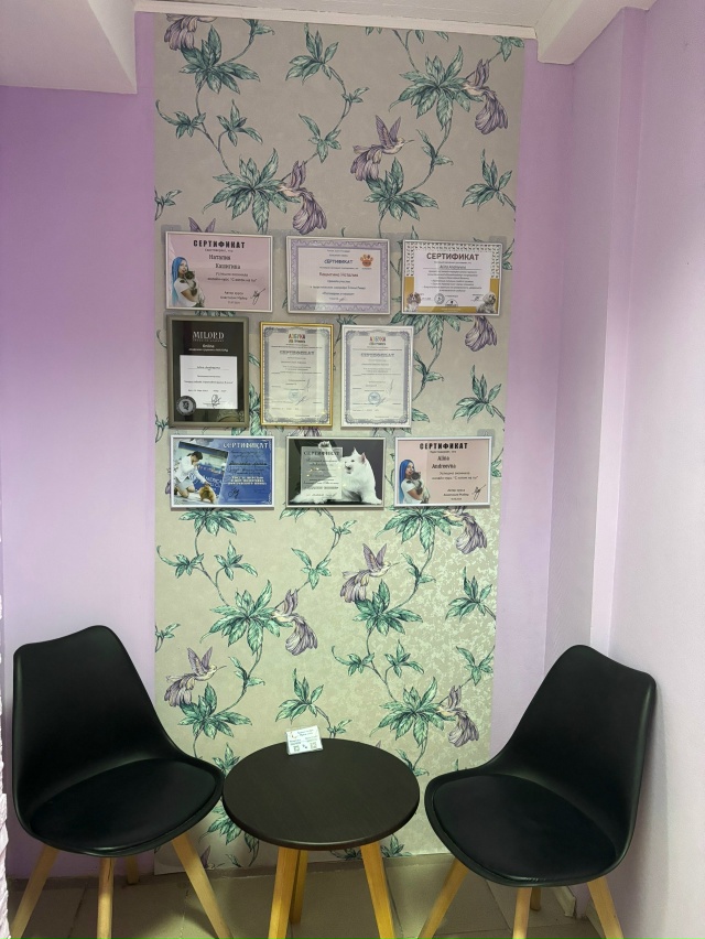 [club224000602|Груминг-студия «Мягкие лапки» г.Ухта]
Дорогие ...