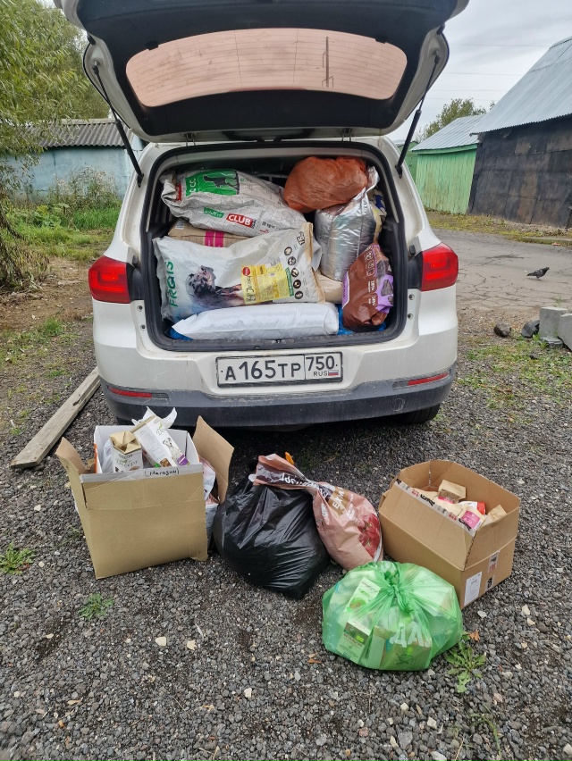 Друзья! Домашний приют у Ларисы передаёт огромное спас...