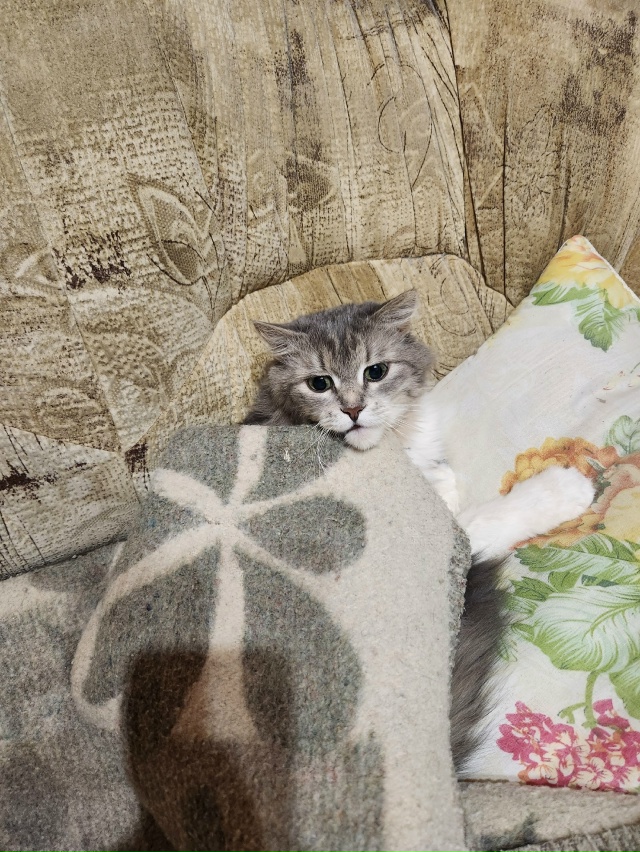 Тиша: Утепляемся 🥰🥰🥰