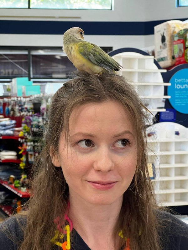 В X завирусилась история девушки, которая влюбилась… в попугая из зоомагазина
Американка Мария расс