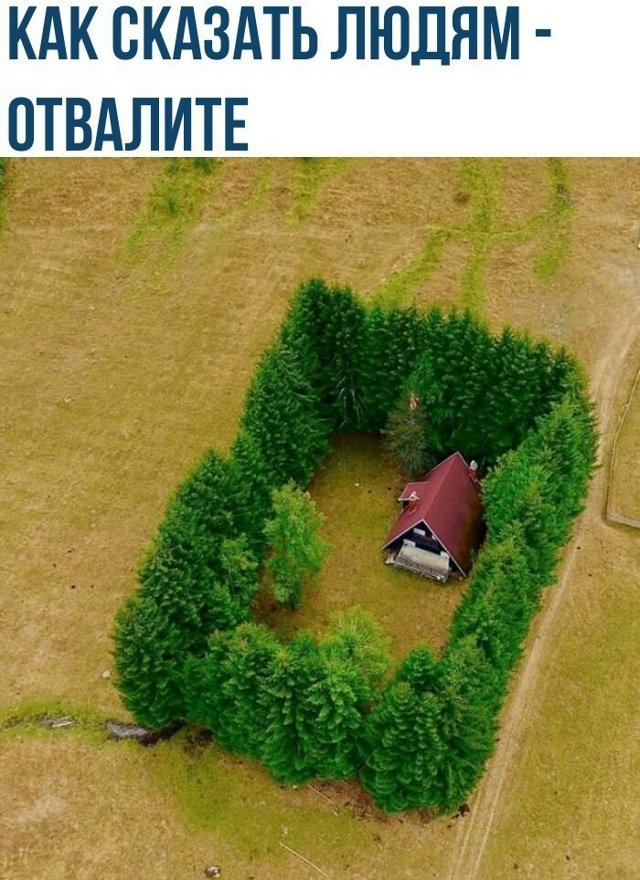 Хотели бы себе такой домик с таким забором? 😀