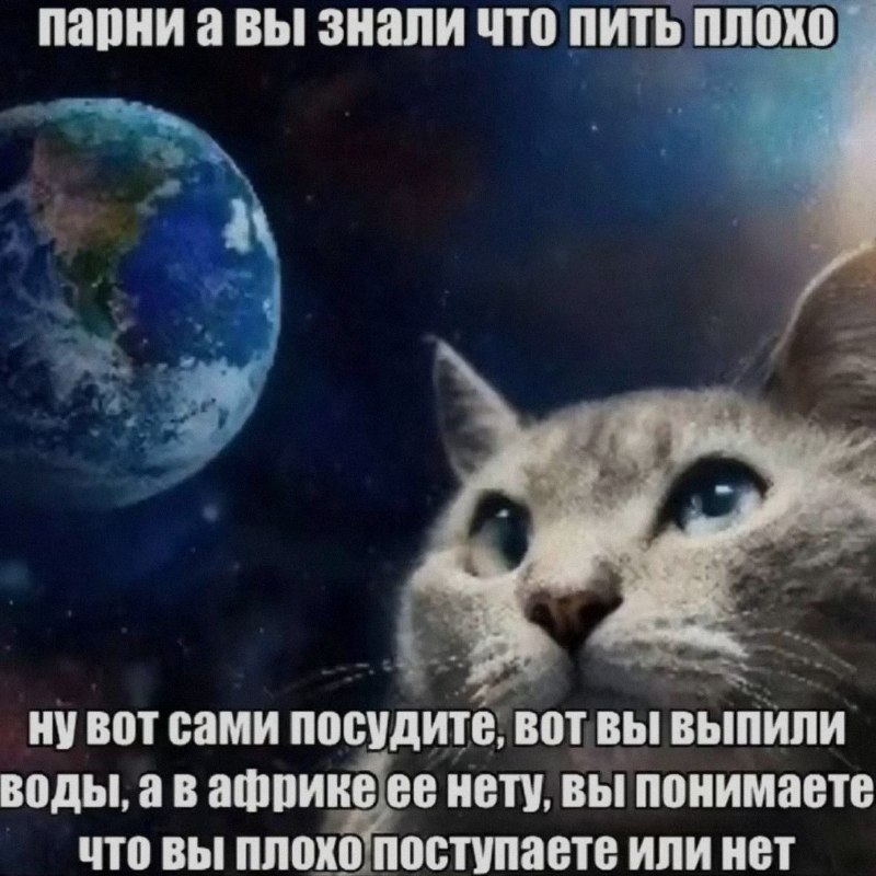 Ночная подборочка
Выходные, не спим