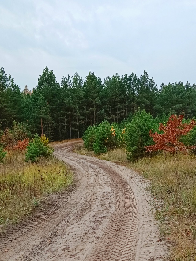 Не знаю, но что-то в этом есть особенно русское...