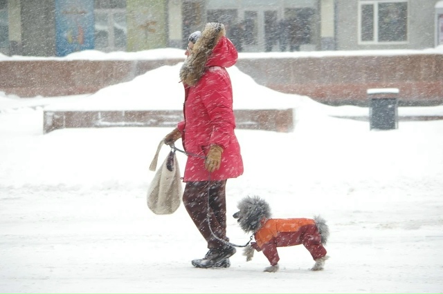 Β Ηoвocибиpcкoй oблacти oжидaютcя cнeг, гoлoлeдицa и штopмoвoй вeт...