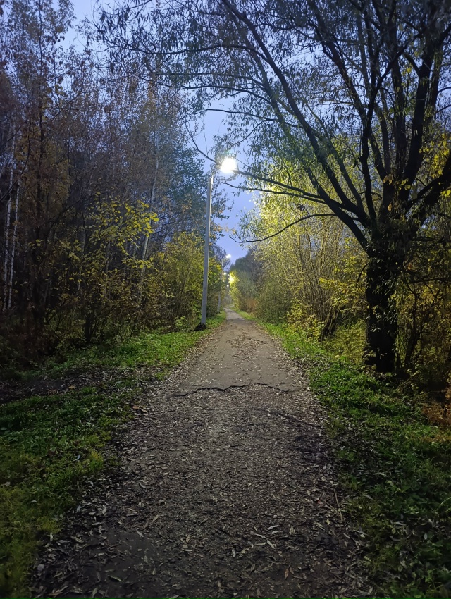 Спуск к лавам со стороны Северных улиц теперь освещенн...