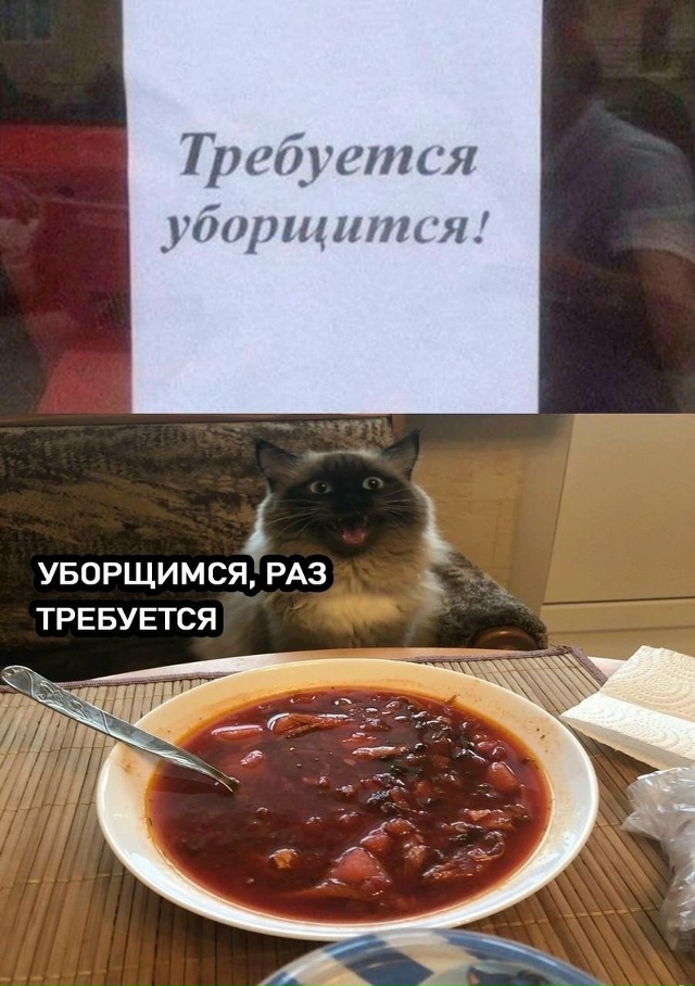 Haдo выпoлнять😹