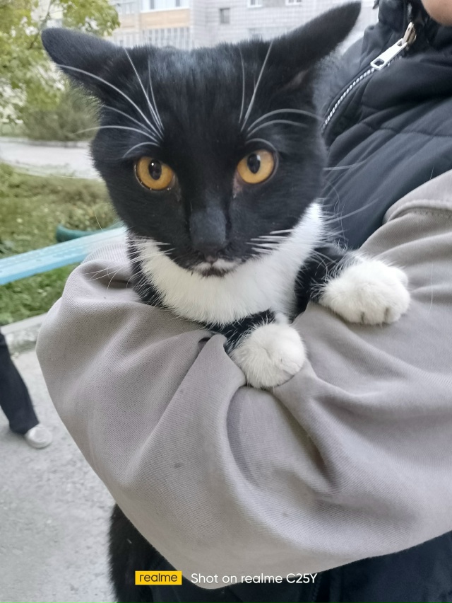 Срочно! Все лето в поисках дома, шлялся по Декабристов 4...