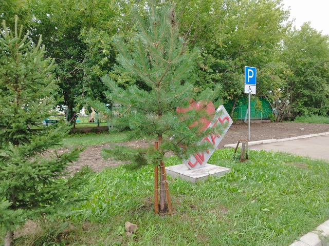 🌲В конце прошлой недели мы рассказали о том, что злоде...