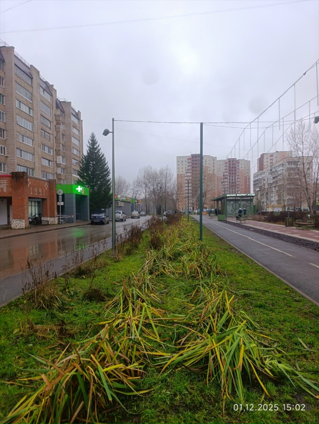 С первым днём зимы! 😃🤣😁