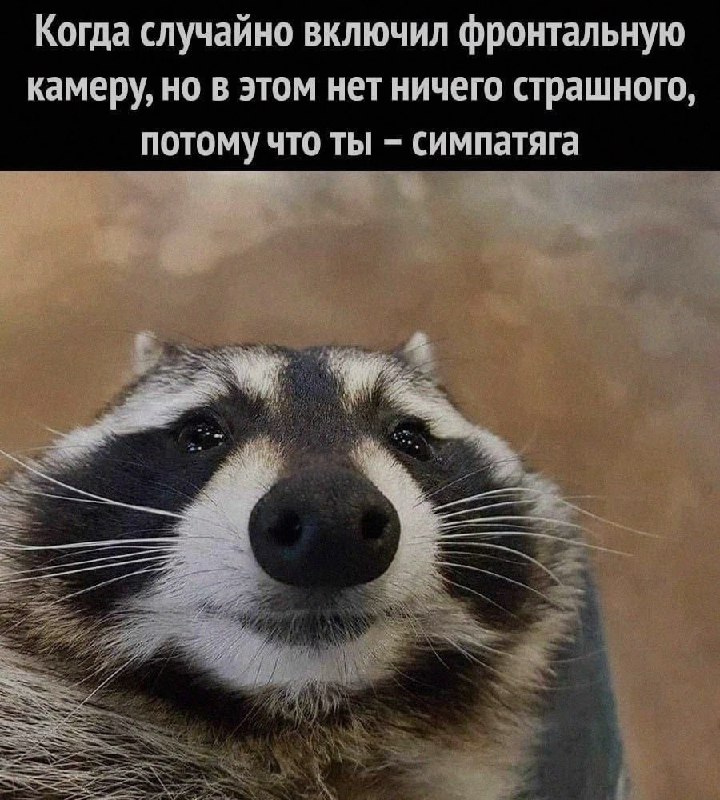 Ночная подборочка
Выходные, не спим