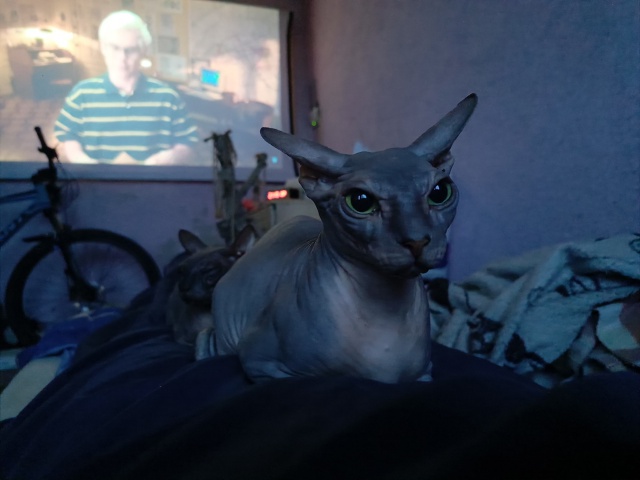 Регулярно чувствую себя мебелью с подогревом)