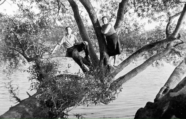 Петродворец. Ольгин пруд. 1960-е гг.