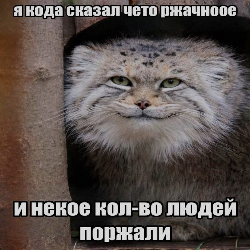 Ночная подборочка
Спать, режим