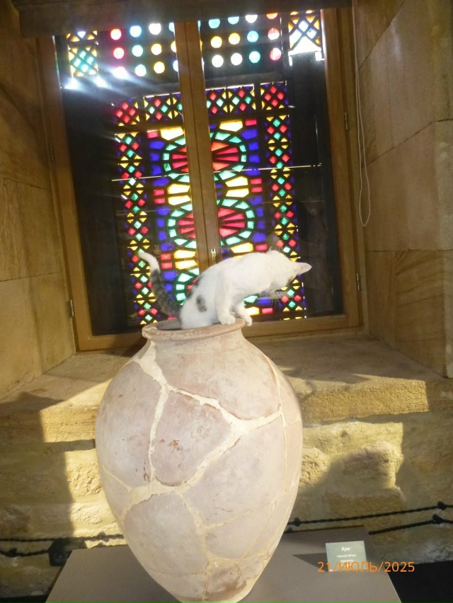 Экспонаты трогать нельзя, а котам можно все
г.Дербент