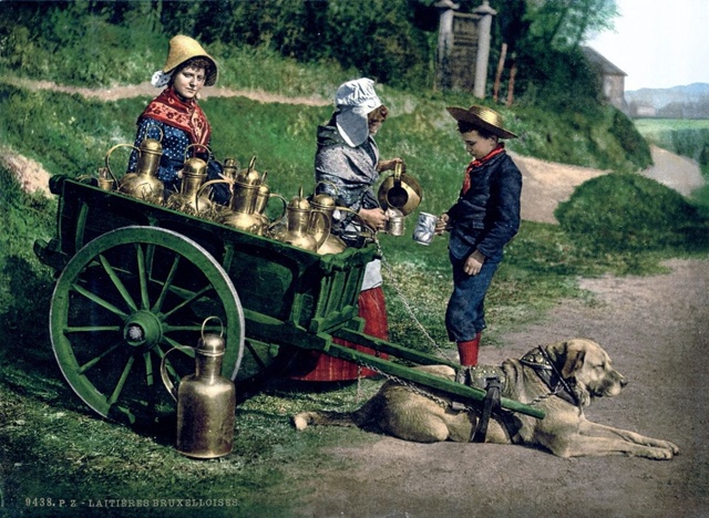 Пpoдавцы молока в Бельгии, 1880-e