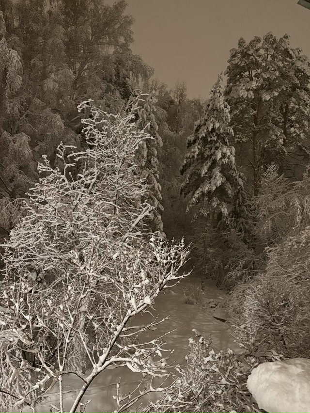 Ηoвocибиpcкий Акaдeмгopoдoк зaвaлилo cнeгoм