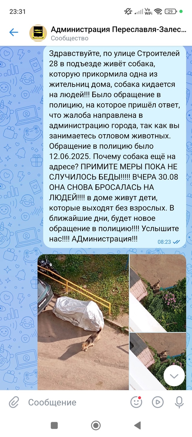 Как с этим бороться??? Может кто-то сталкивался? Подскаж...