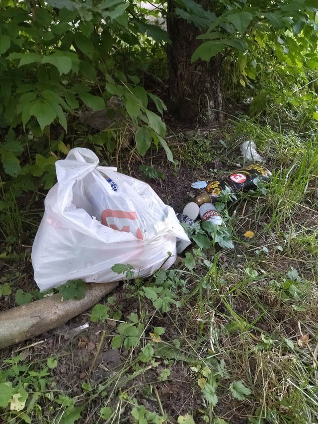 Что за быдло постоянно оставляет свой мусор под кустам...