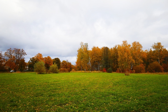 Осенний Петергоф. Фото: Анастасия Смирнова.
