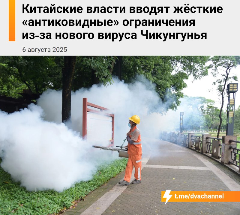 ⚡️⚡️⚡️Ah shit, here we go again: в Китае снова началось — из-за вируса чикунгунья власти возвращают