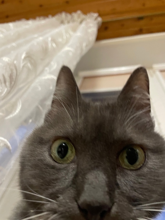 Жрешь? 👀