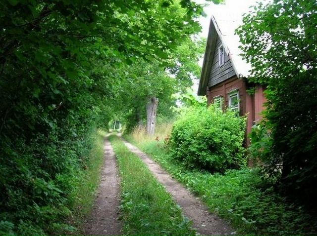 Мы живём в прекрасном поселке!
Дорогие соседи!
Мы с вам...