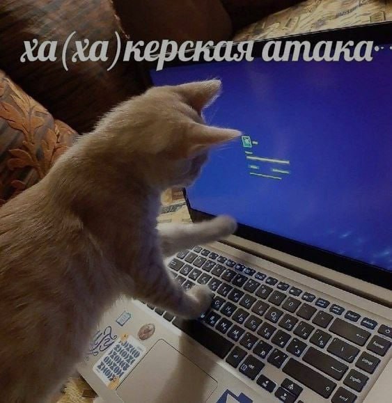 Ночная подборочка
Спать, режим