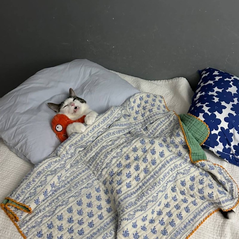 Ето я ложусь спотб, зная, что еда вкусная и она ждёт меня завтра