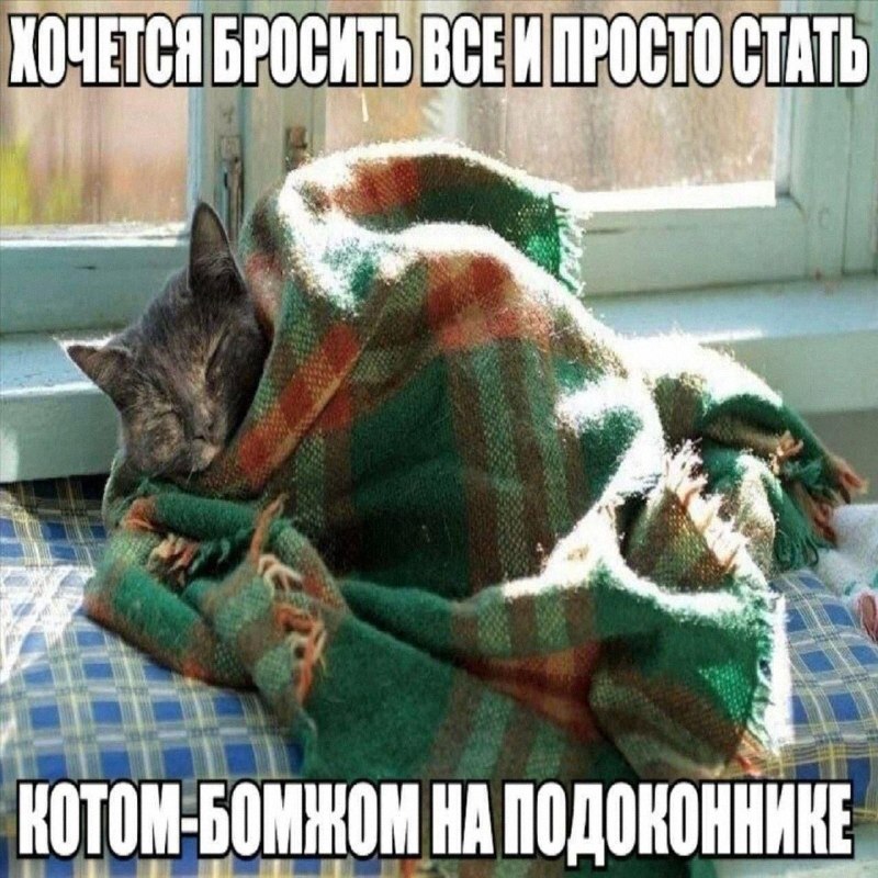 Утренняя подборочка